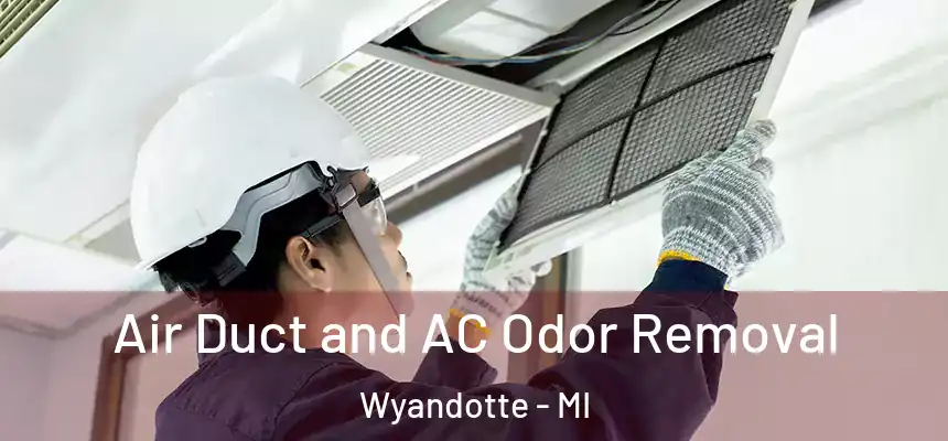  Air Duct and AC Odor Removal Wyandotte - MI