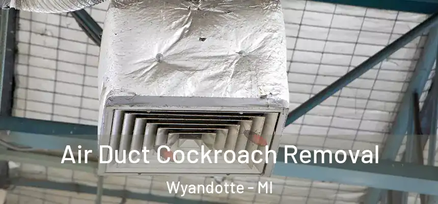 Air Duct Cockroach Removal Wyandotte - MI