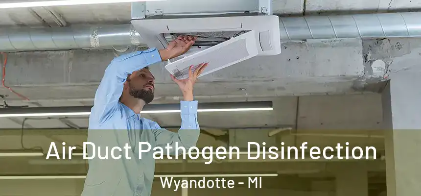 Air Duct Pathogen Disinfection Wyandotte - MI