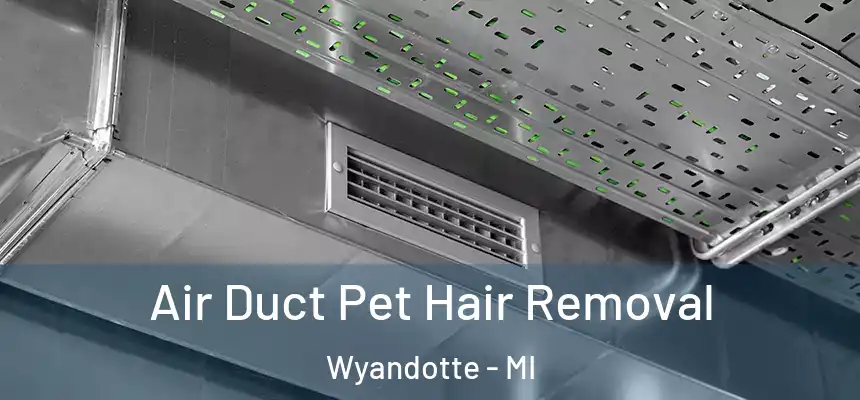 Air Duct Pet Hair Removal Wyandotte - MI