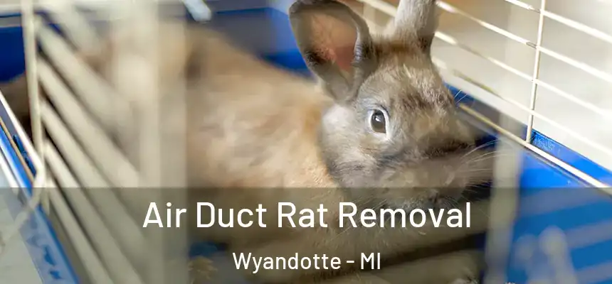  Air Duct Rat Removal Wyandotte - MI