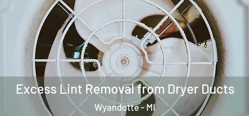  Excess Lint Removal from Dryer Ducts Wyandotte - MI