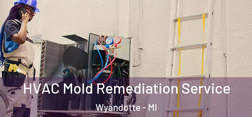  HVAC Mold Remediation Service Wyandotte - MI