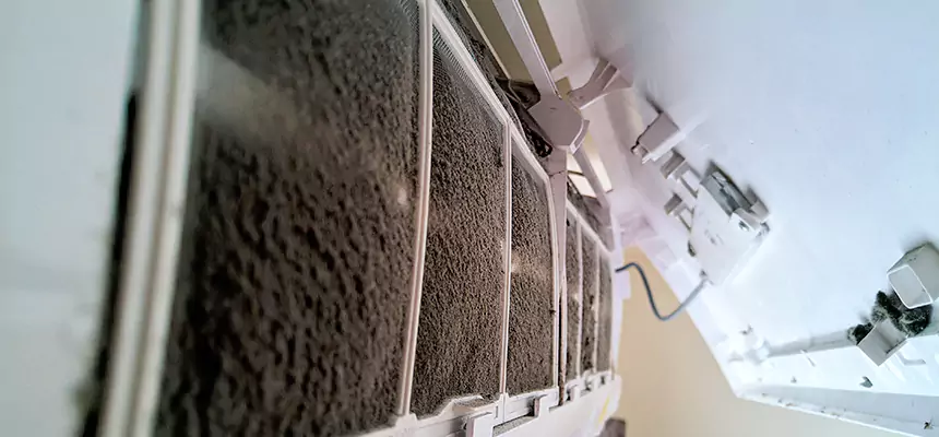 Preventive Air Duct Bacteria Removal in Wyandotte