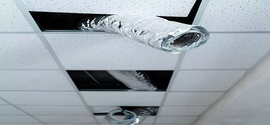 Our Air Duct Pet Hair Removal Services in Wyandotte, MI