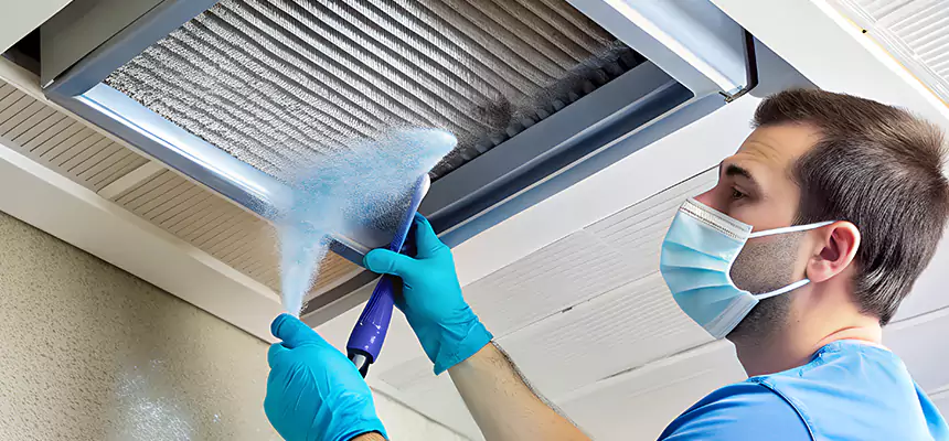 Proactive Dryer Vent & Auxiliary Duct Pollen Cleanup in Wyandotte, MI
