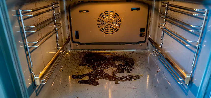 Our Air Purifier Installation Services in Wyandotte, MI