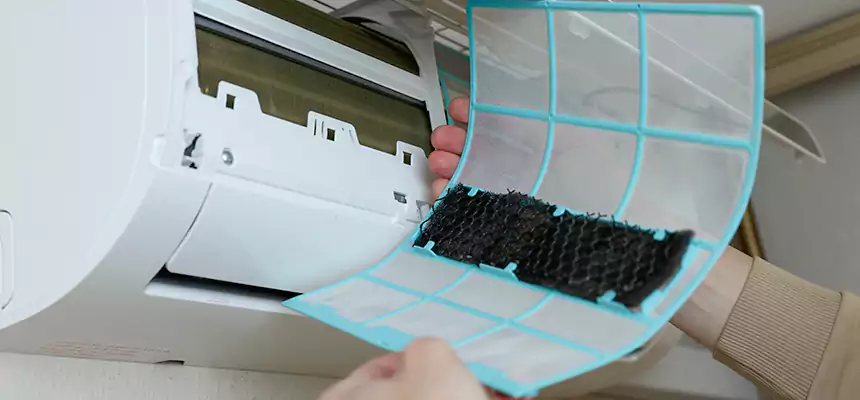 Gentle Ductwork Odor-Control Pet Dander Duct Cleaning in Wyandotte, MI