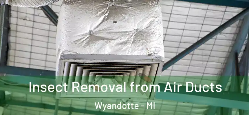  Insect Removal from Air Ducts Wyandotte - MI