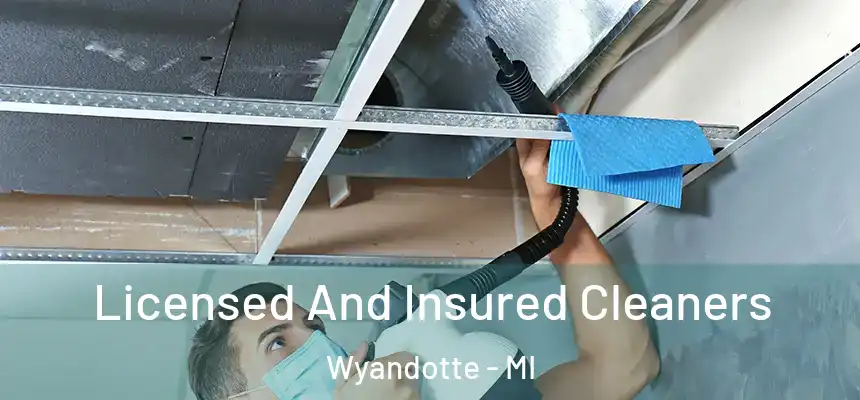 Licensed And Insured Cleaners Wyandotte - MI