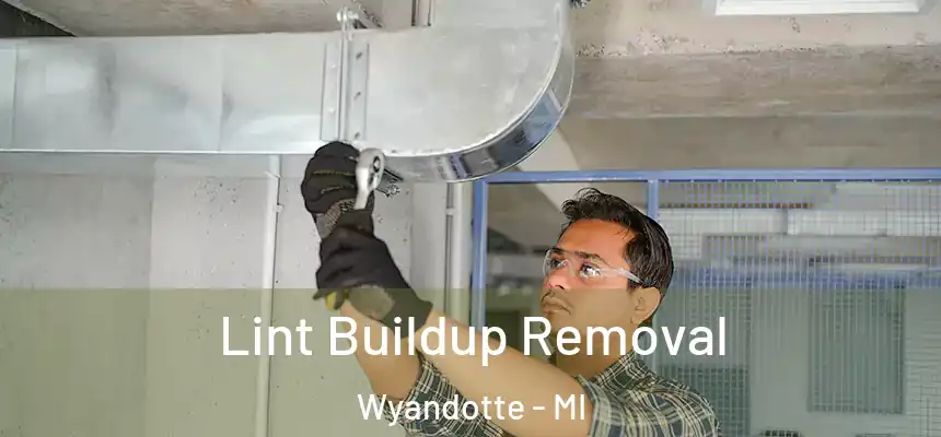  Lint Buildup Removal Wyandotte - MI