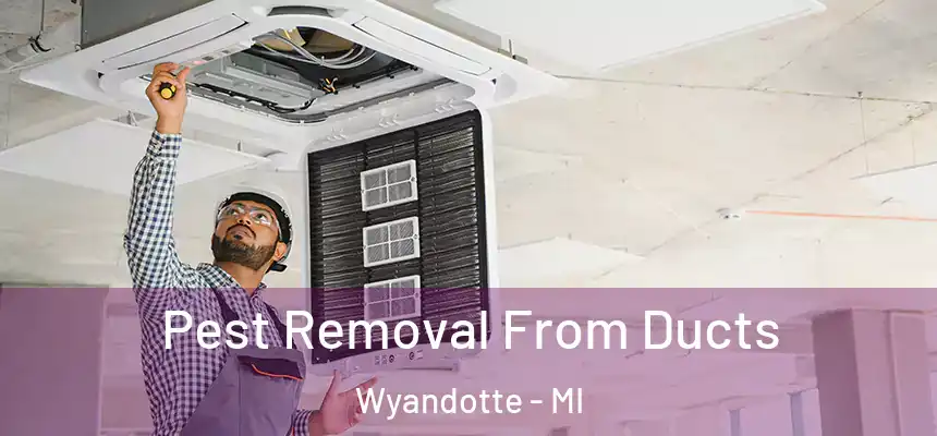 Pest Removal From Ducts Wyandotte - MI