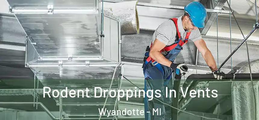  Rodent Droppings In Vents Wyandotte - MI