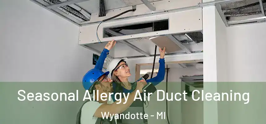 Seasonal Allergy Air Duct Cleaning Wyandotte - MI