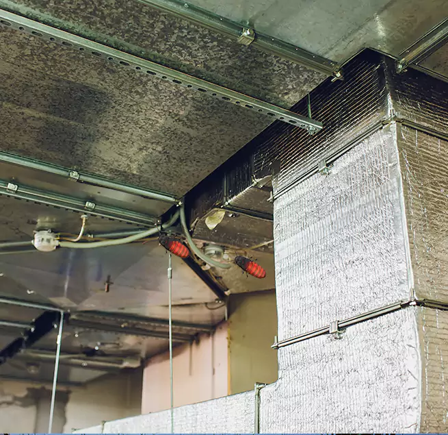 Why Homeowners & Businesses Trust Us in Wyandotte, MI?