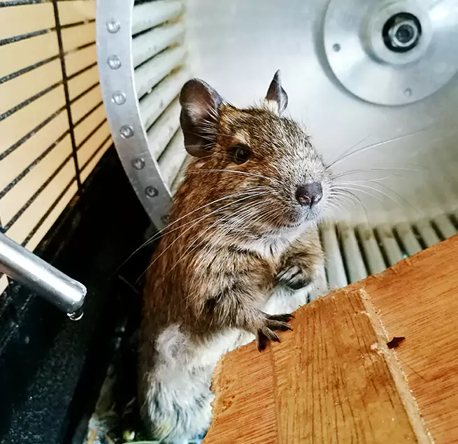 Why Homeowners & Businesses Trust Us Wyandotte, MI?