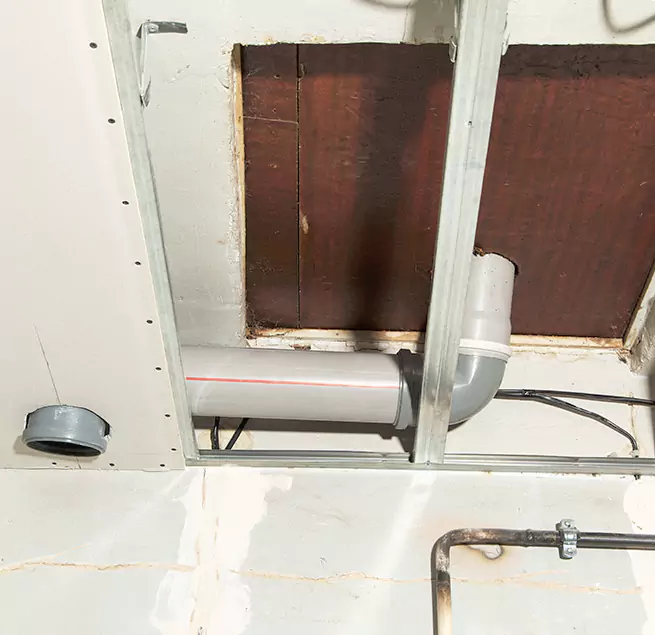 Why Homeowners & Businesses Trust Us in Wyandotte, MI?