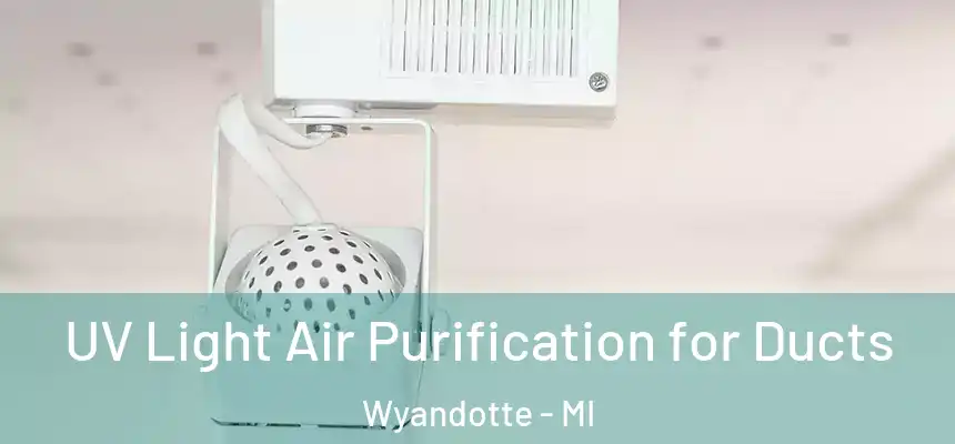  UV Light Air Purification for Ducts Wyandotte - MI